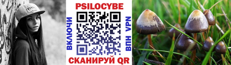 кракен ТОР  Каргат  Псилоцибиновые грибы Psilocybine cubensis 